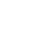 globe icon